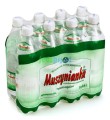 MUSZYNIANKA LEKKO GAZOWANA 0,6l (zgrzewka - 8 butelek)