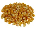 Kukurydza ziarno na popcorn 500g - sklep jedzpij