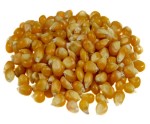 Kukurydza ziarno na popcorn 25kg (1)