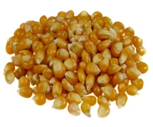 Kukurydza ziarno na popcorn 25kg (1)