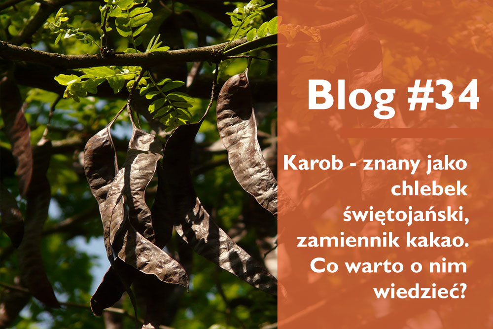 Karob - co warto o nim wiedzieć?